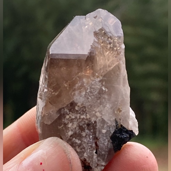 Smoky Quartz with Aegirine from Malawi, South Africa - Picture 15 of 15